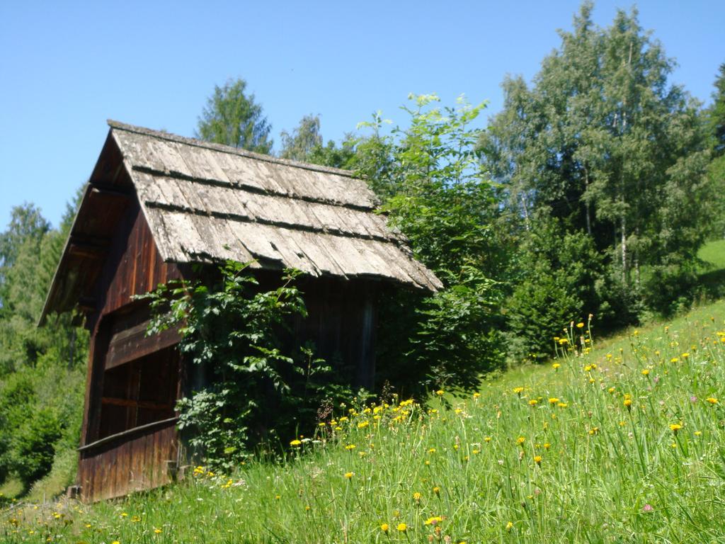 Ferienwohnung Lahnerhof Arriach Exterior photo
